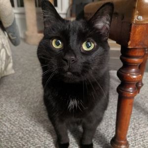 Meet your Posher, Colleen